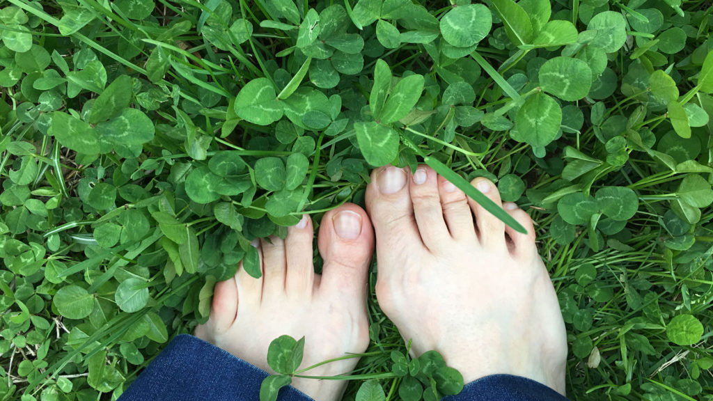 Grass Header Image
